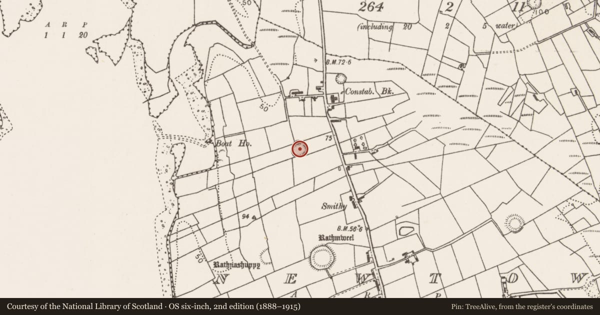 Ordnance Survey six-inch map, 2nd edition (1888–1915) covering the location of Ringfort - rath, Newtown, County Mayo, with a pin at the register's coordinates