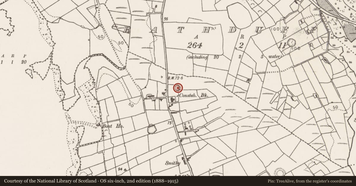 Ordnance Survey six-inch map, 2nd edition (1888–1915) covering the location of Ringfort - rath, Newtown, County Mayo, with a pin at the register's coordinates