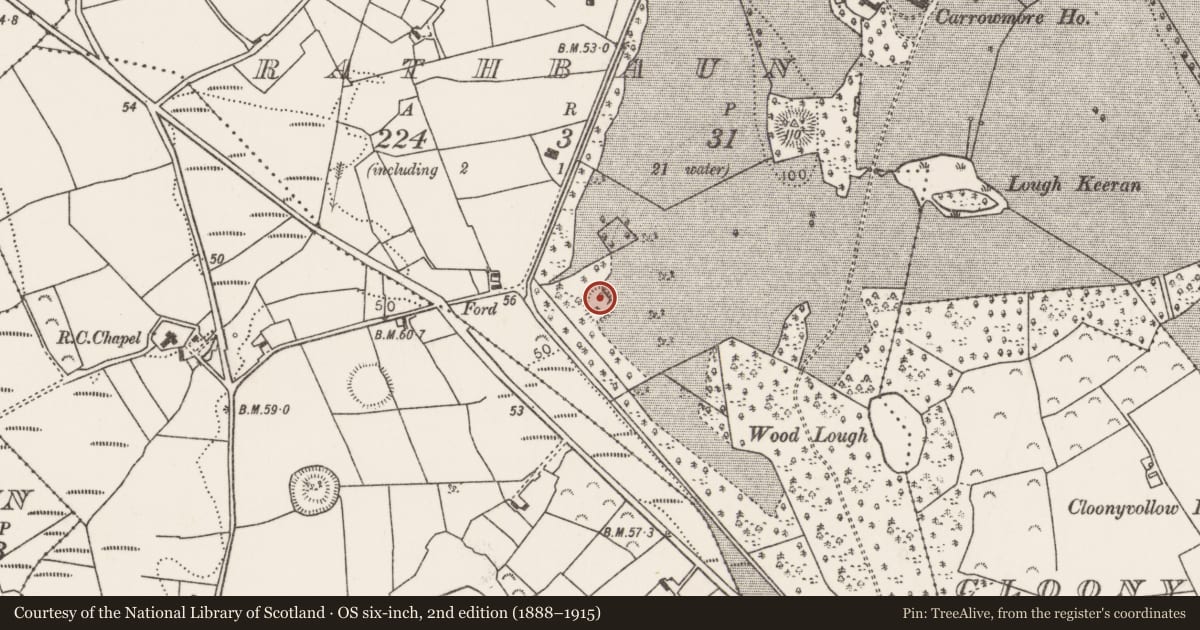 Ordnance Survey six-inch map, 2nd edition (1888–1915) covering the location of Bullaun stone, Rathbaun (Tirawley By., Kilbelfad Par.), County Mayo, with a pin at the register's coordinates
