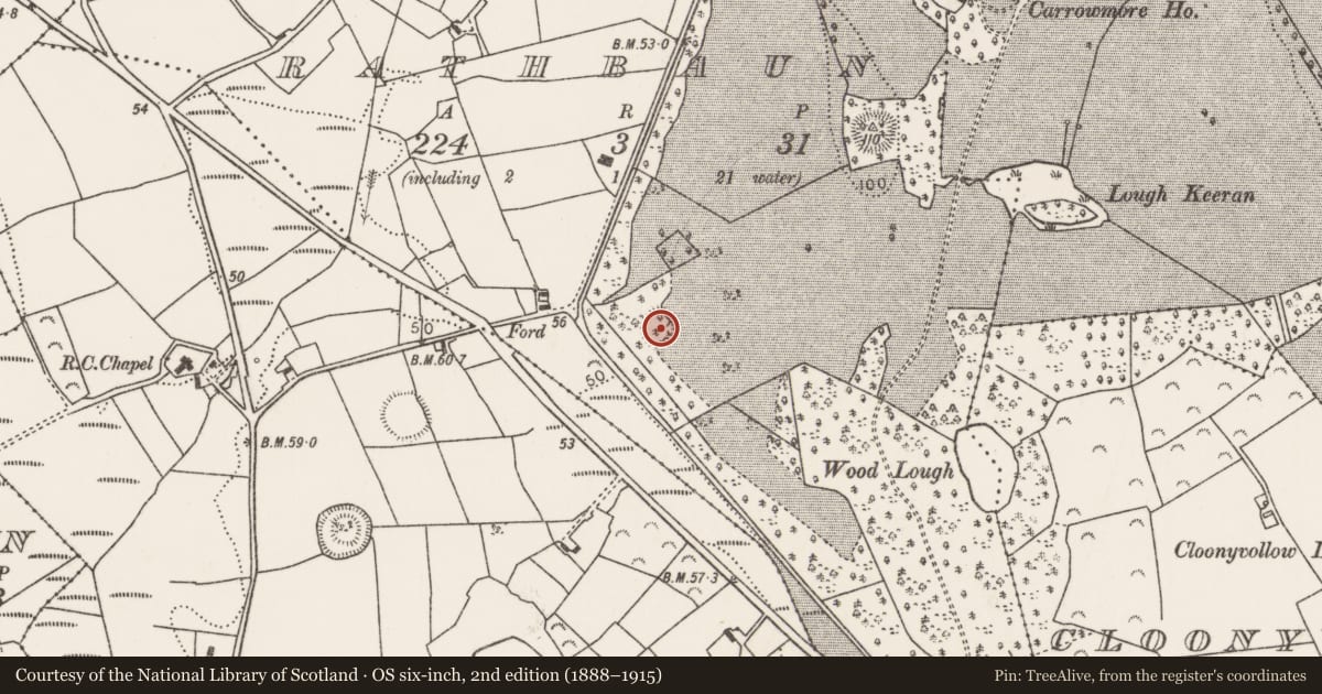 Ordnance Survey six-inch map, 2nd edition (1888–1915) covering the location of Enclosure, Rathbaun (Tirawley By., Kilbelfad Par.), County Mayo, with a pin at the register's coordinates
