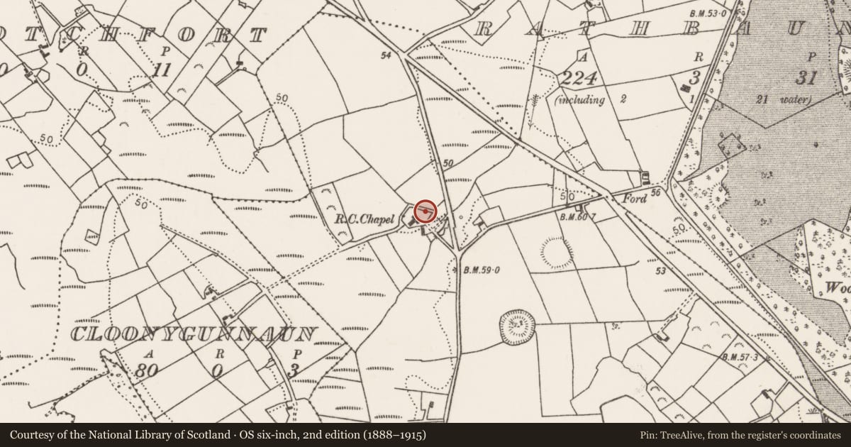 Ordnance Survey six-inch map, 2nd edition (1888–1915) covering the location of Bullaun stone (present location), Rathduff, County Mayo, with a pin at the register's coordinates