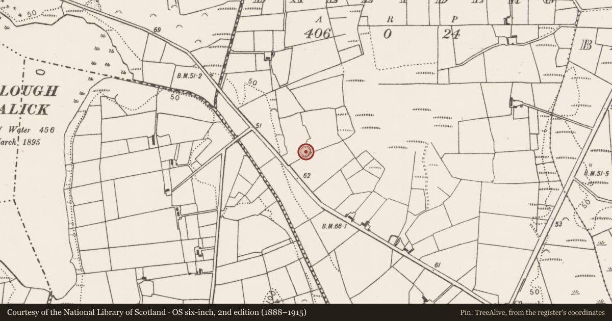 Ordnance Survey six-inch map, 2nd edition (1888–1915) covering the location of Ringfort - rath, Ballyderg, County Mayo, with a pin at the register's coordinates
