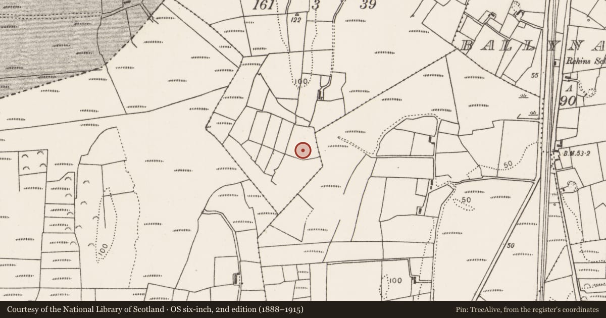 Ordnance Survey six-inch map, 2nd edition (1888–1915) covering the location of Enclosure, Cloonturk, County Mayo, with a pin at the register's coordinates