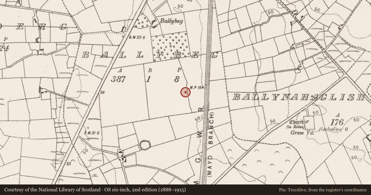 Ordnance Survey six-inch map, 2nd edition (1888–1915) covering the location of Megalithic tomb - court tomb, Ballybeg (Tirawley By., Ballynahaglish Par.), County Mayo, with a pin at the register's coordinates