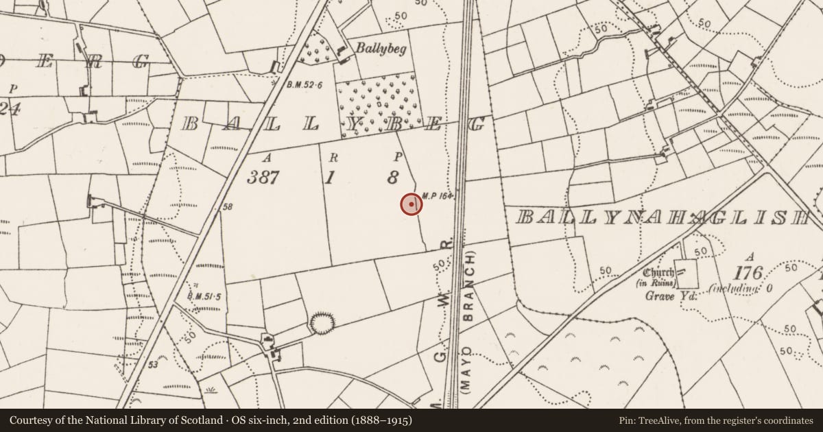 Ordnance Survey six-inch map, 2nd edition (1888–1915) covering the location of Children's burial ground, Ballybeg (Tirawley By., Ballynahaglish Par.), County Mayo, with a pin at the register's coordinates