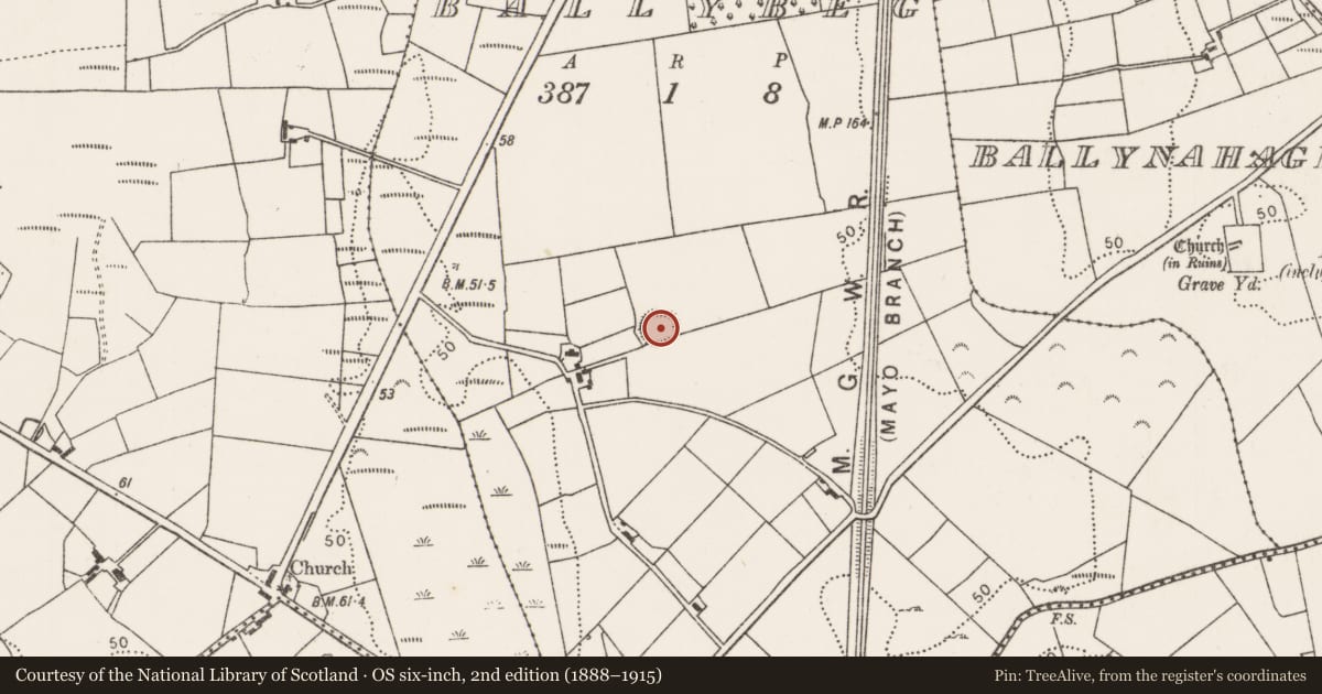 Ordnance Survey six-inch map, 2nd edition (1888–1915) covering the location of Ringfort - rath, Ballybeg (Tirawley By., Ballynahaglish Par.), County Mayo, with a pin at the register's coordinates