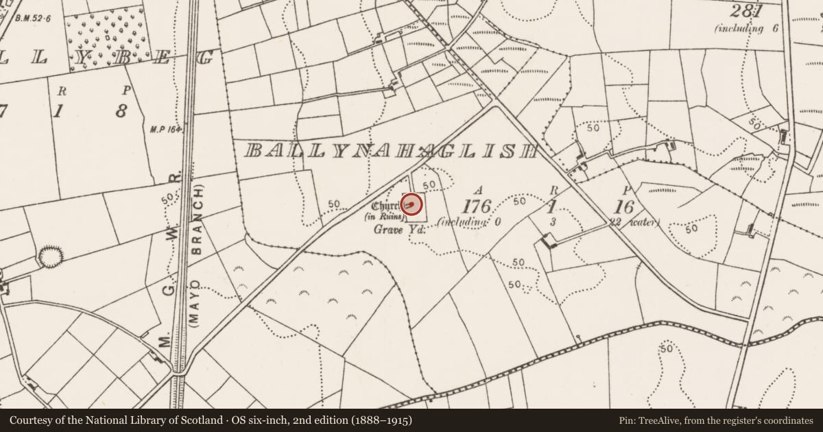 Ordnance Survey six-inch map, 2nd edition (1888–1915) covering the location of Cross, Ballynahaglish, County Mayo, with a pin at the register's coordinates