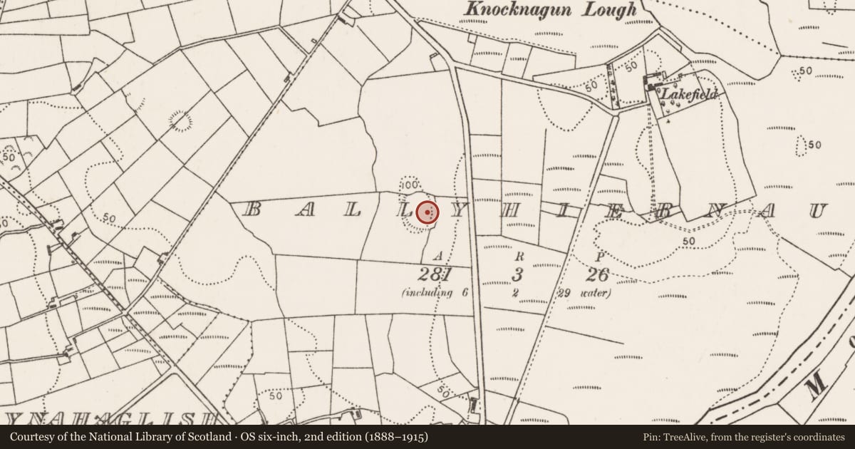 Ordnance Survey six-inch map, 2nd edition (1888–1915) covering the location of Hut site, Ballyhiernaun, County Mayo, with a pin at the register's coordinates