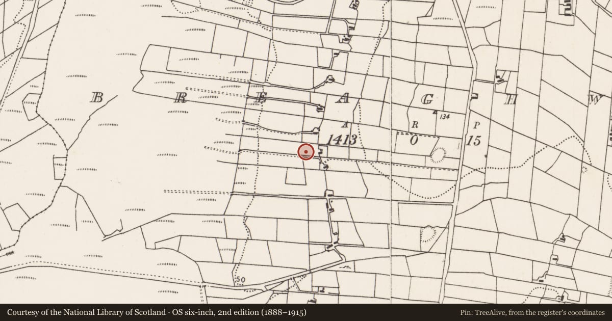 Ordnance Survey six-inch map, 2nd edition (1888–1915) covering the location of Earthwork, Breaghwy, County Mayo, with a pin at the register's coordinates