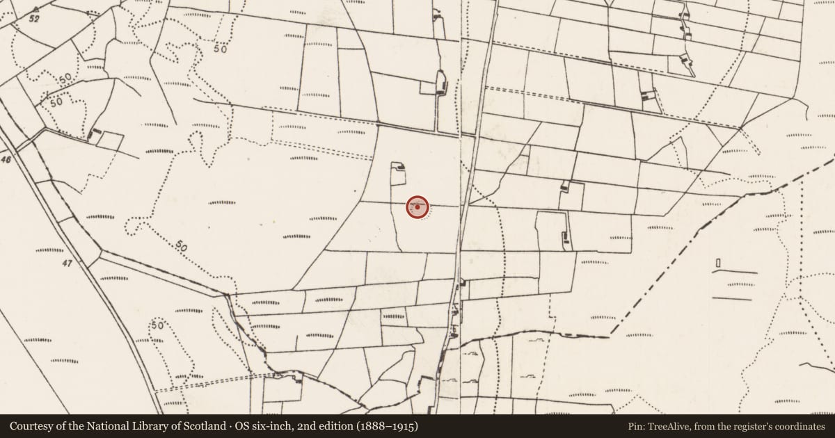 Ordnance Survey six-inch map, 2nd edition (1888–1915) covering the location of Ringfort - rath, Breaghwy, County Mayo, with a pin at the register's coordinates