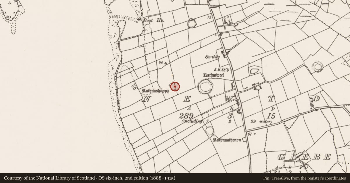 Ordnance Survey six-inch map, 2nd edition (1888–1915) covering the location of Ringfort - rath, Newtown, County Mayo, with a pin at the register's coordinates