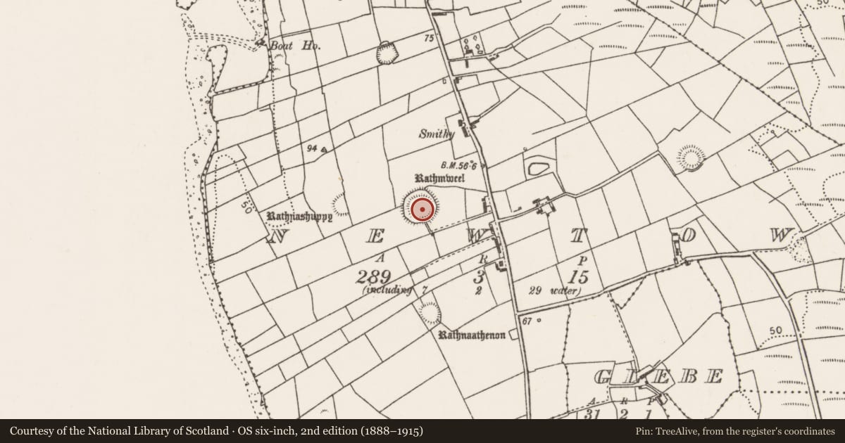 Ordnance Survey six-inch map, 2nd edition (1888–1915) covering the location of Ringfort - rath, Newtown, County Mayo, with a pin at the register's coordinates
