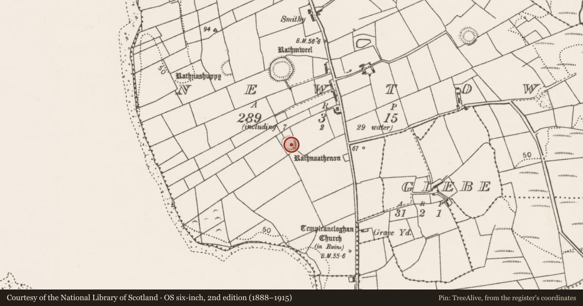 Ordnance Survey six-inch map, 2nd edition (1888–1915) covering the location of Ringfort - rath, Newtown, County Mayo, with a pin at the register's coordinates