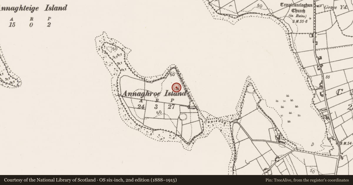 Ordnance Survey six-inch map, 2nd edition (1888–1915) covering the location of Ringfort - rath, Annaghroe Island, County Mayo, with a pin at the register's coordinates