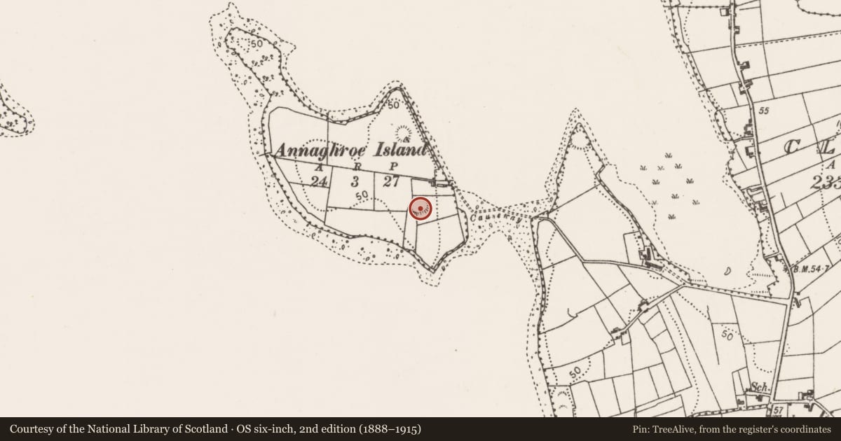 Ordnance Survey six-inch map, 2nd edition (1888–1915) covering the location of Ringfort - rath, Annaghroe Island, County Mayo, with a pin at the register's coordinates