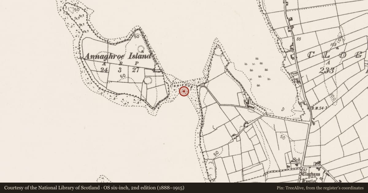 Ordnance Survey six-inch map, 2nd edition (1888–1915) covering the location of Causeway, Lough Conn, County Mayo, with a pin at the register's coordinates