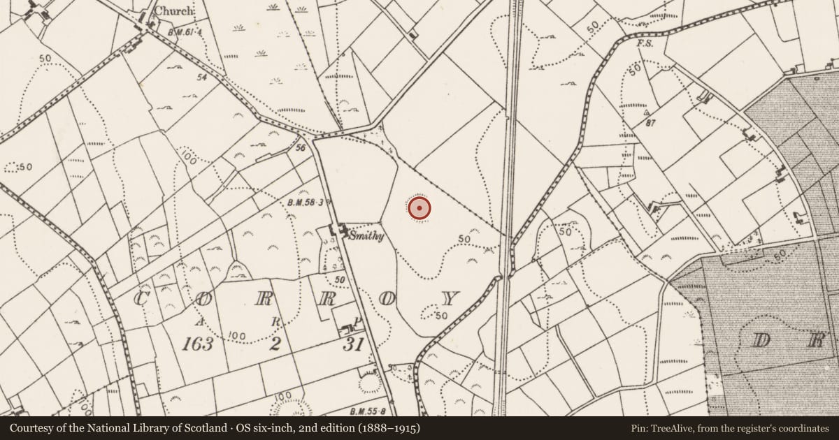 Ordnance Survey six-inch map, 2nd edition (1888–1915) covering the location of Ringfort - rath, Corroy, County Mayo, with a pin at the register's coordinates