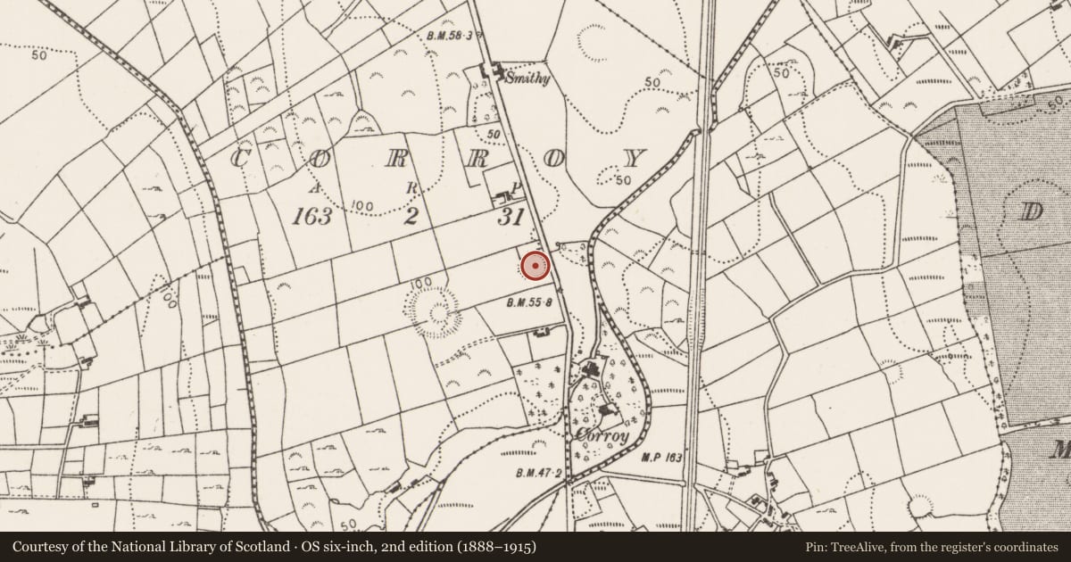 Ordnance Survey six-inch map, 2nd edition (1888–1915) covering the location of Ringfort - rath, Corroy, County Mayo, with a pin at the register's coordinates