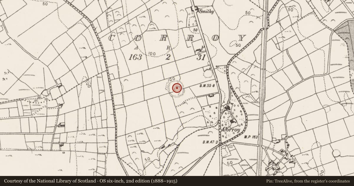 Ordnance Survey six-inch map, 2nd edition (1888–1915) covering the location of Ringfort - unclassified, Corroy, County Mayo, with a pin at the register's coordinates