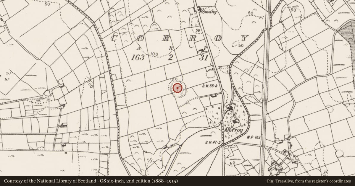 Ordnance Survey six-inch map, 2nd edition (1888–1915) covering the location of Souterrain, Corroy, County Mayo, with a pin at the register's coordinates