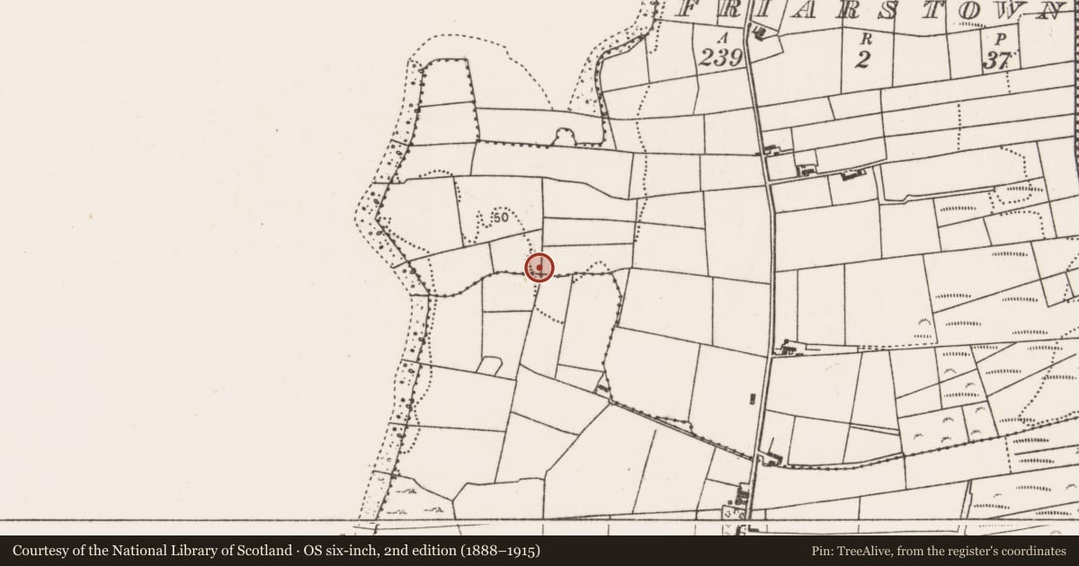 Ordnance Survey six-inch map, 2nd edition (1888–1915) covering the location of Enclosure, Friarstown, County Mayo, with a pin at the register's coordinates