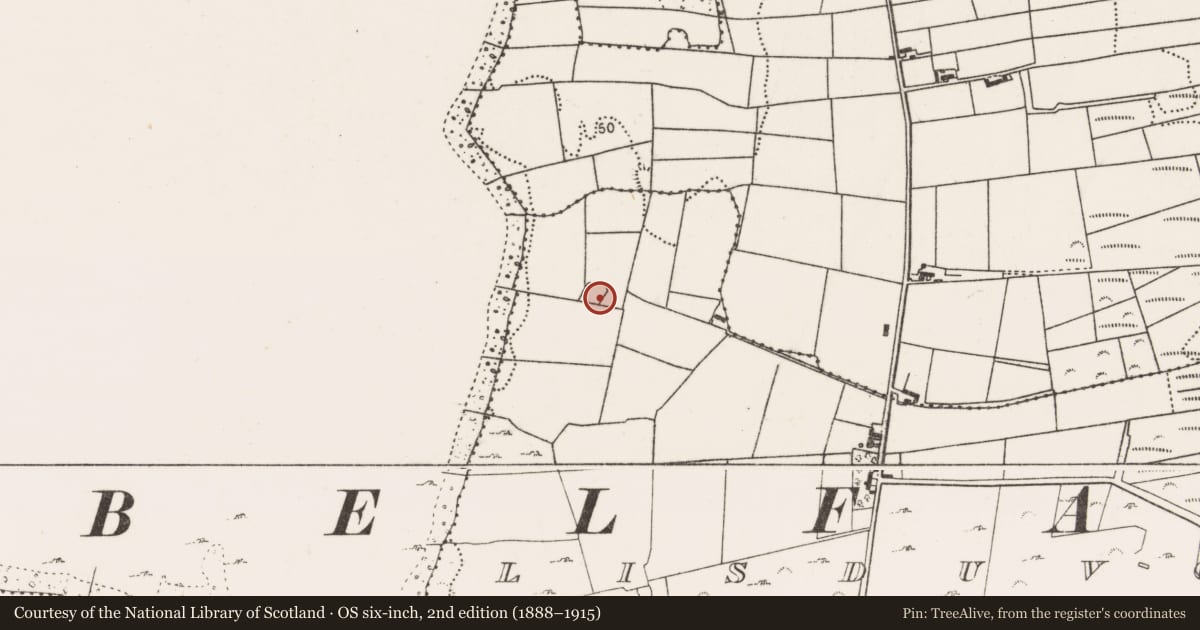 Ordnance Survey six-inch map, 2nd edition (1888–1915) covering the location of Enclosure, Lisduvoge, County Mayo, with a pin at the register's coordinates