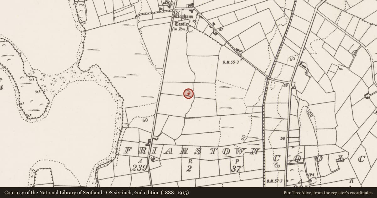 Ordnance Survey six-inch map, 2nd edition (1888–1915) covering the location of Ringfort - rath, Friarstown, County Mayo, with a pin at the register's coordinates