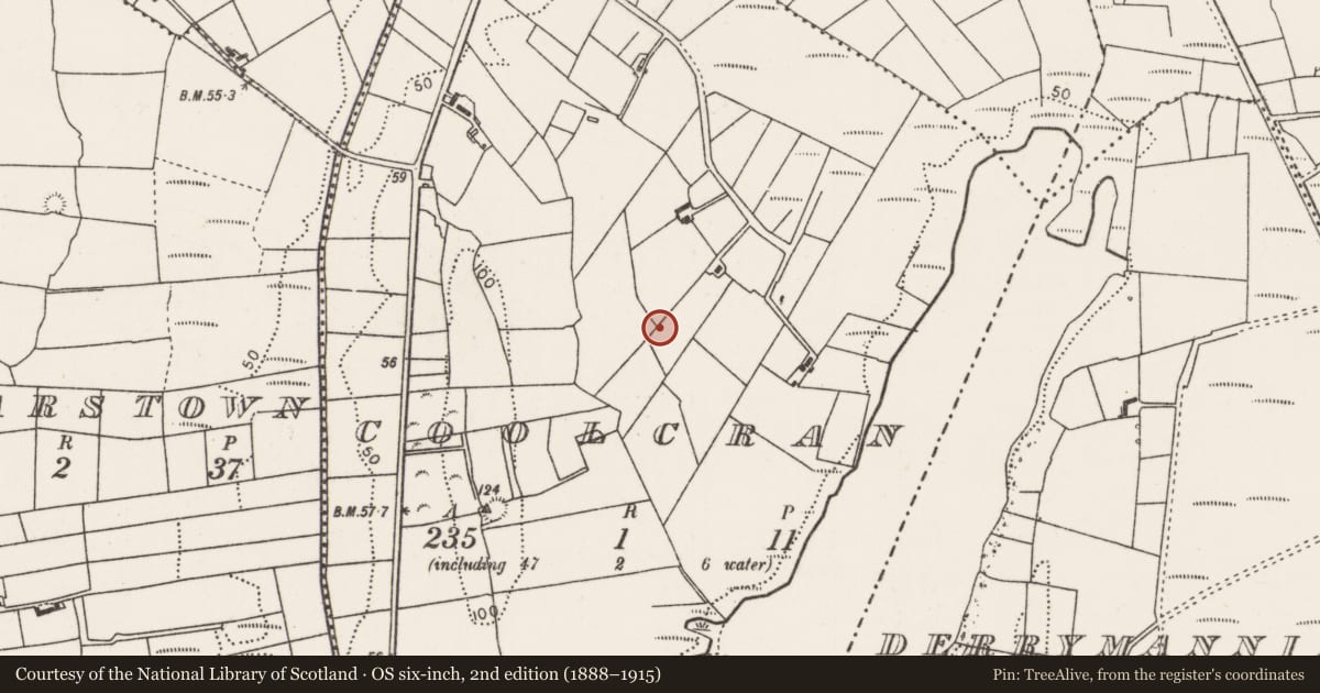 Ordnance Survey six-inch map, 2nd edition (1888–1915) covering the location of Enclosure, Coolcran (Tirawley By., Kilbelfad Par.), County Mayo, with a pin at the register's coordinates
