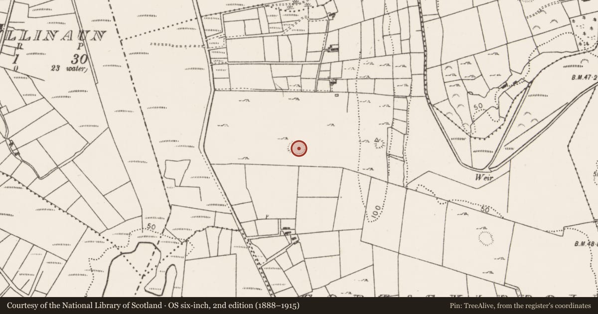 Ordnance Survey six-inch map, 2nd edition (1888–1915) covering the location of Ringfort - rath, Gortaskibbole, County Mayo, with a pin at the register's coordinates