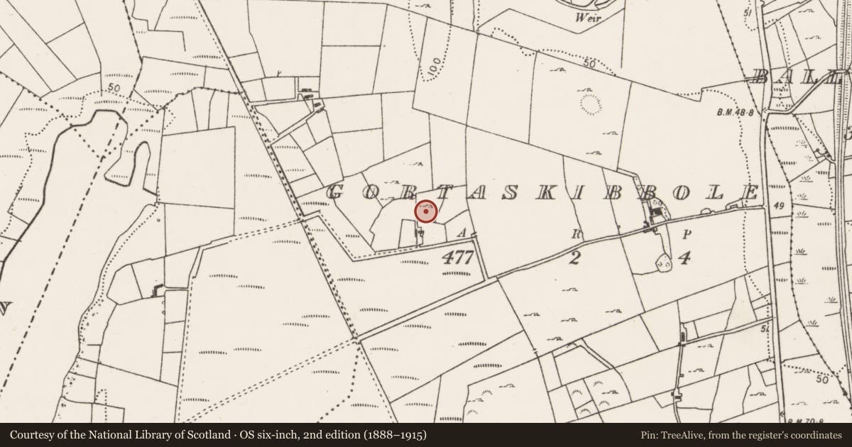 Ordnance Survey six-inch map, 2nd edition (1888–1915) covering the location of Enclosure, Gortaskibbole, County Mayo, with a pin at the register's coordinates