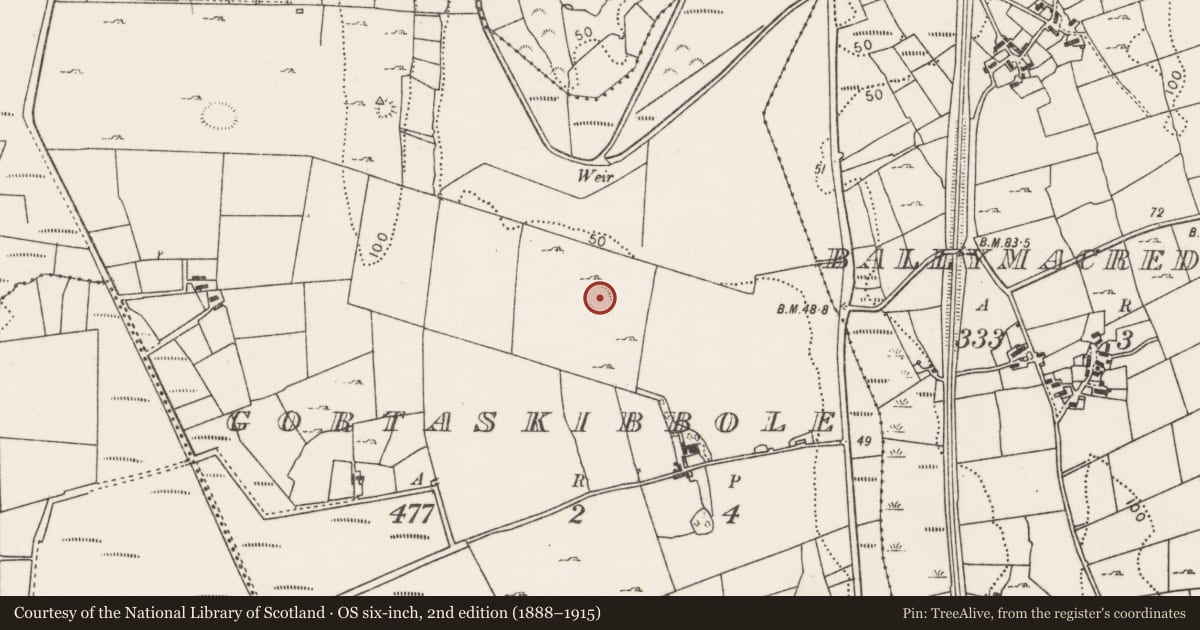Ordnance Survey six-inch map, 2nd edition (1888–1915) covering the location of Enclosure, Gortaskibbole, County Mayo, with a pin at the register's coordinates