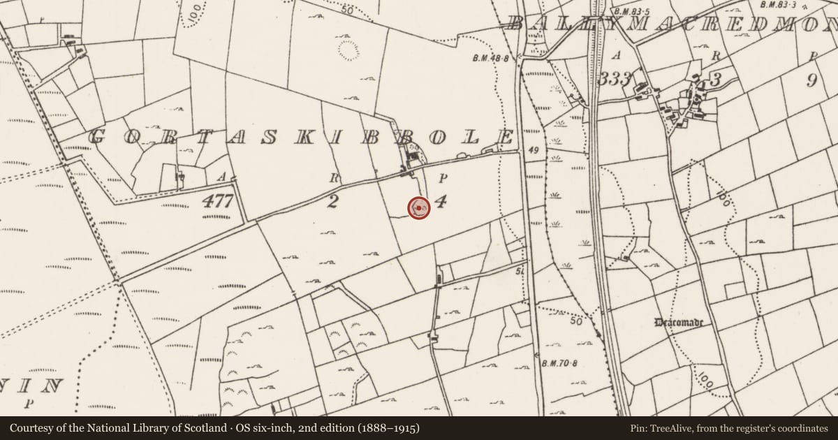 Ordnance Survey six-inch map, 2nd edition (1888–1915) covering the location of Enclosure, Gortaskibbole, County Mayo, with a pin at the register's coordinates