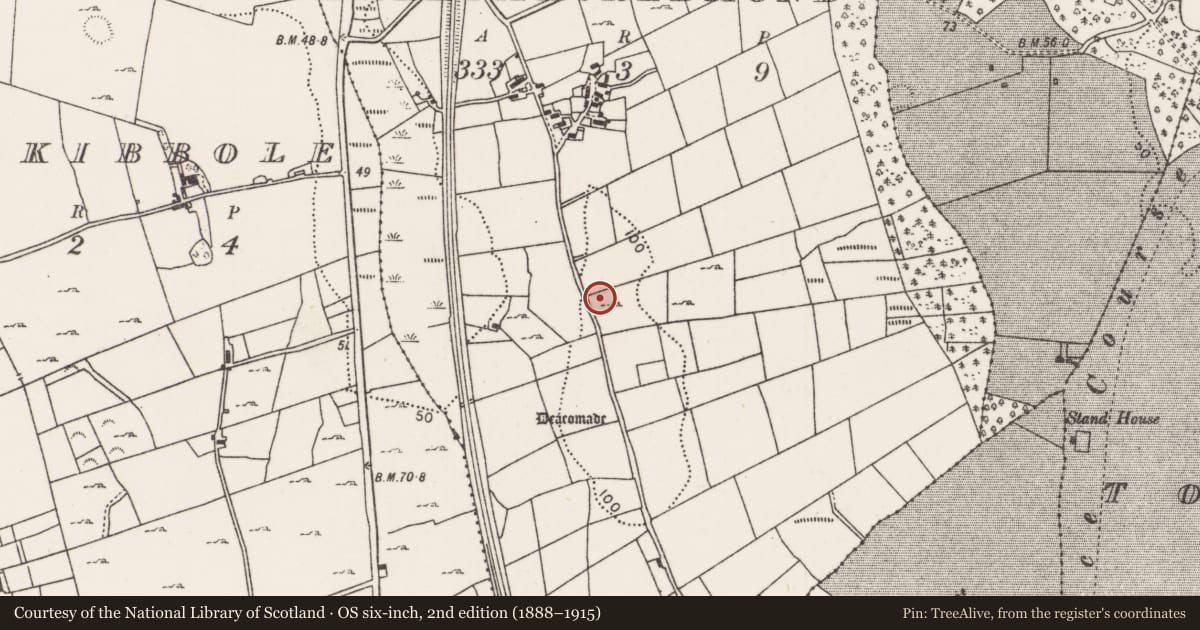 Ordnance Survey six-inch map, 2nd edition (1888–1915) covering the location of Children's burial ground, Ballymacredmond (Tirawley By., Ballynahaglish Par.), County Mayo, with a pin at the register's coordinates