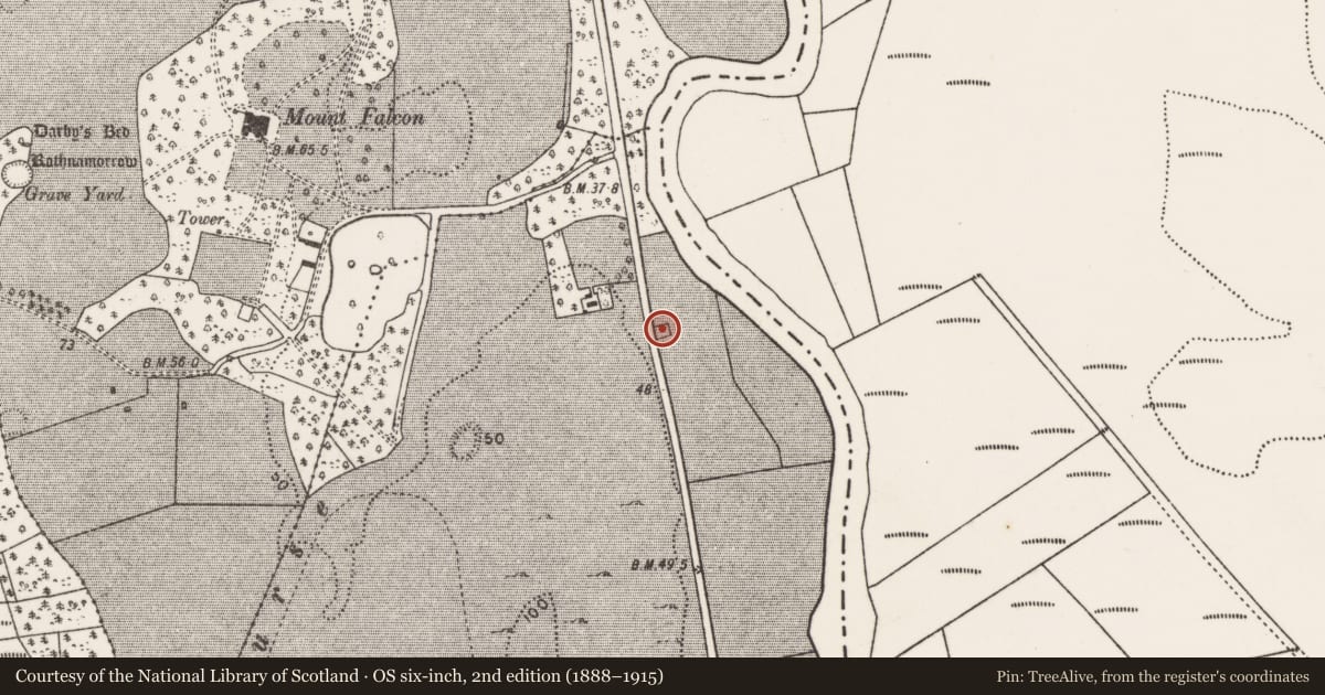 Ordnance Survey six-inch map, 2nd edition (1888–1915) covering the location of Children's burial ground, Tonybaun, County Mayo, with a pin at the register's coordinates