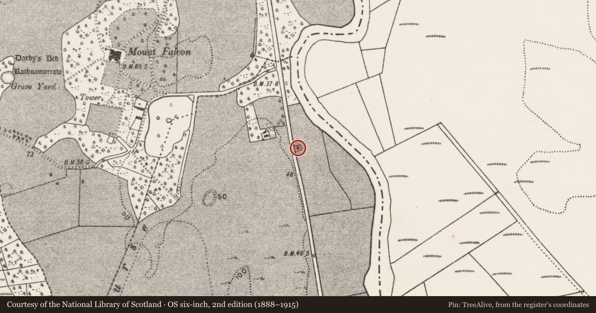 Ordnance Survey six-inch map, 2nd edition (1888–1915) covering the location of Burial ground, Tonybaun, County Mayo, with a pin at the register's coordinates