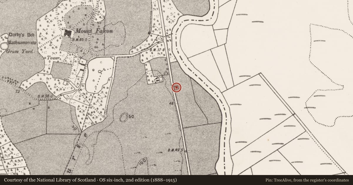 Ordnance Survey six-inch map, 2nd edition (1888–1915) covering the location of Metalworking site, Tonybaun, County Mayo, with a pin at the register's coordinates