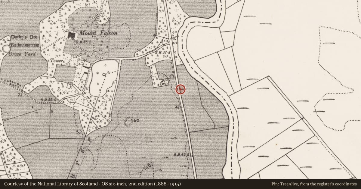 Ordnance Survey six-inch map, 2nd edition (1888–1915) covering the location of Cultivation ridges, Tonybaun, County Mayo, with a pin at the register's coordinates