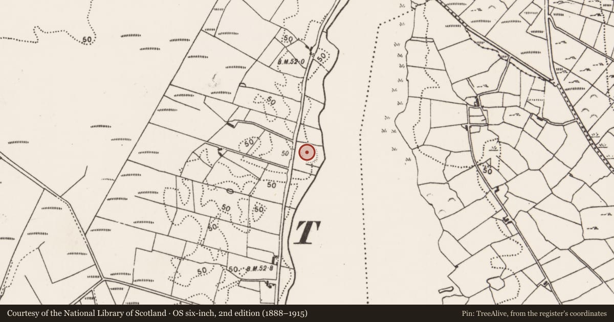 Ordnance Survey six-inch map, 2nd edition (1888–1915) covering the location of Ringfort - rath, Carrowkeribly, County Mayo, with a pin at the register's coordinates