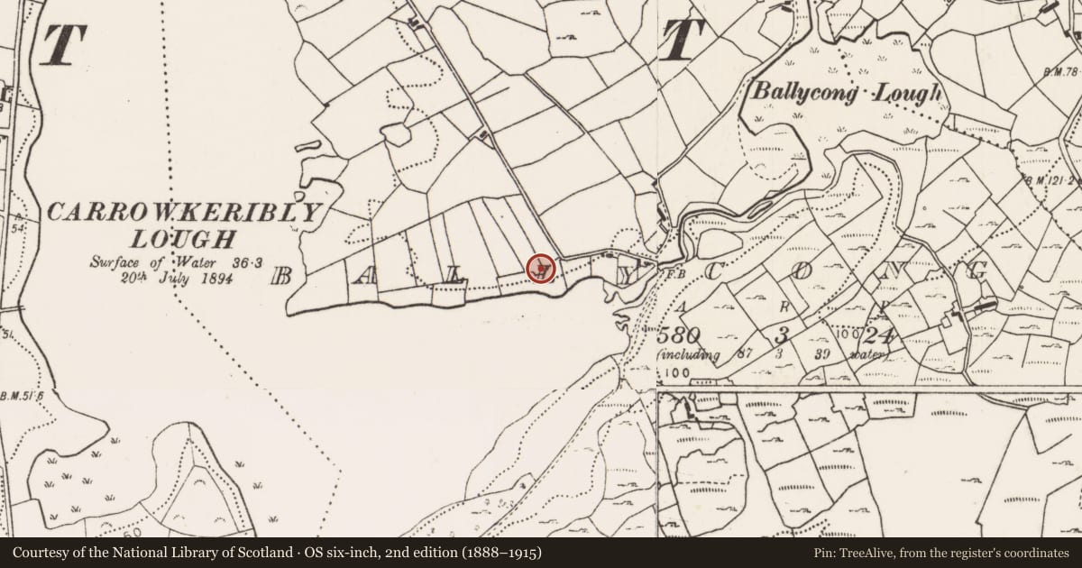 Ordnance Survey six-inch map, 2nd edition (1888–1915) covering the location of Ringfort - rath, Ballycong, County Mayo, with a pin at the register's coordinates