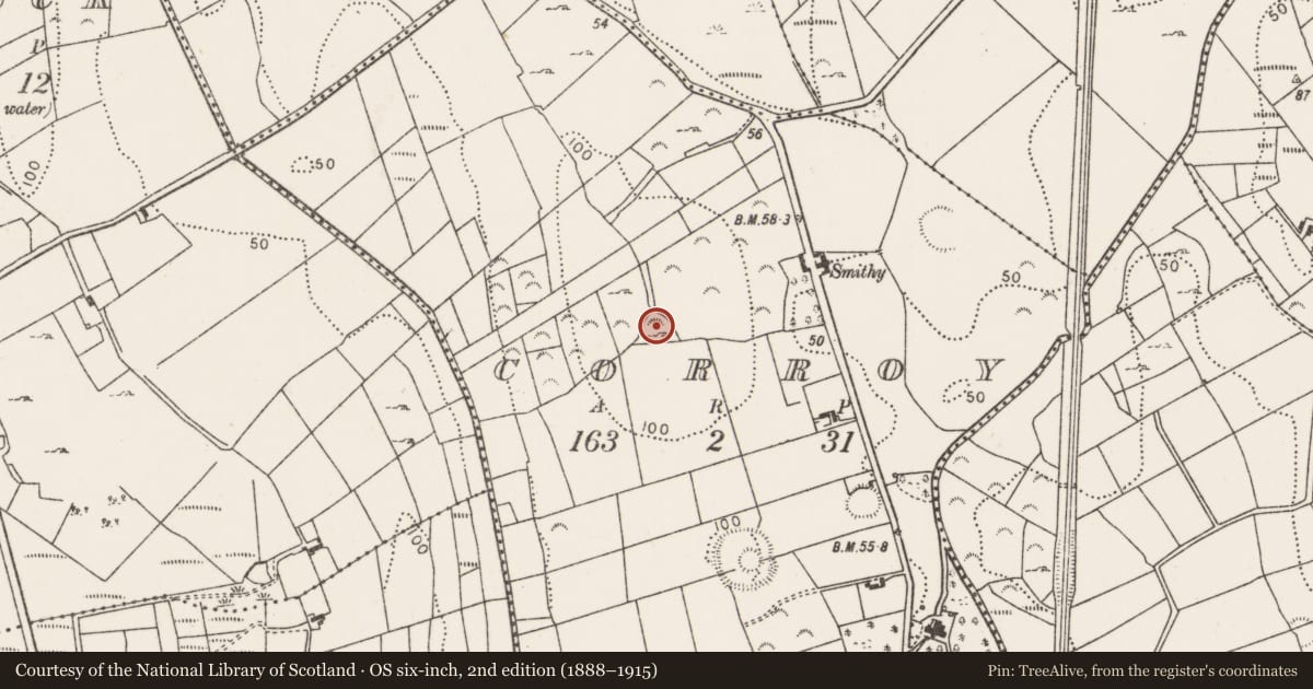 Ordnance Survey six-inch map, 2nd edition (1888–1915) covering the location of Enclosure, Corroy, County Mayo, with a pin at the register's coordinates