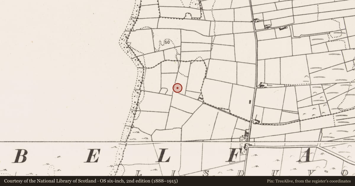 Ordnance Survey six-inch map, 2nd edition (1888–1915) covering the location of Fulacht fia, Lisduvoge, County Mayo, with a pin at the register's coordinates