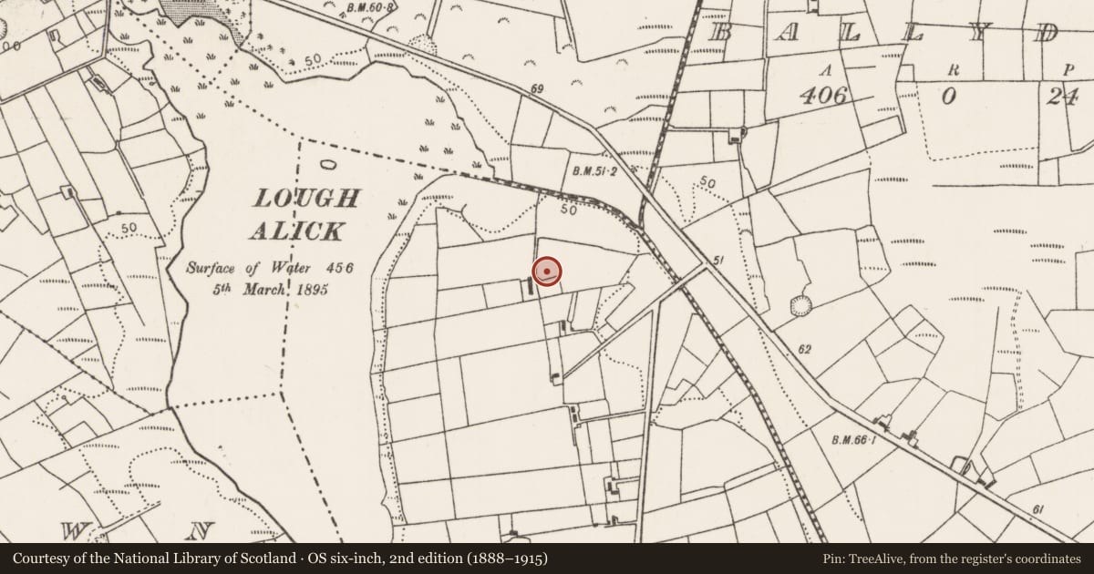 Ordnance Survey six-inch map, 2nd edition (1888–1915) covering the location of Burial ground, Derrynamuck, County Mayo, with a pin at the register's coordinates