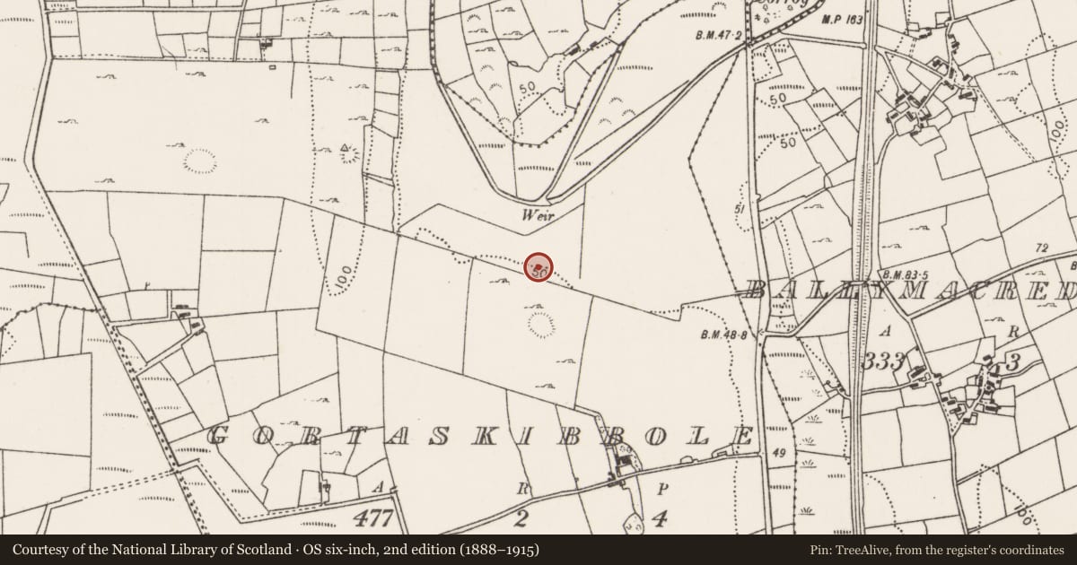 Ordnance Survey six-inch map, 2nd edition (1888–1915) covering the location of Fulacht fia, Gortaskibbole, County Mayo, with a pin at the register's coordinates