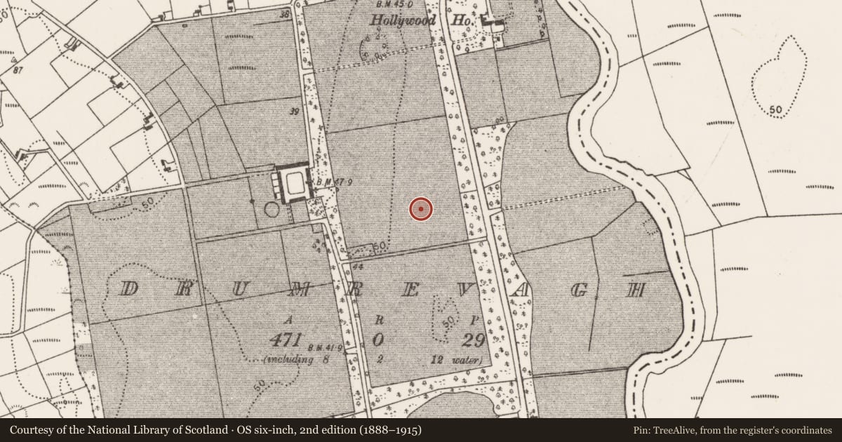 Ordnance Survey six-inch map, 2nd edition (1888–1915) covering the location of Standing stone, Drumrevagh, County Mayo, with a pin at the register's coordinates