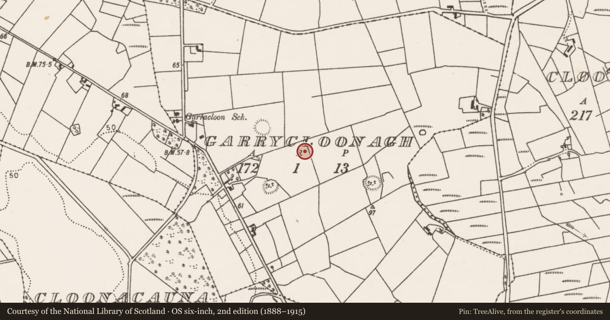 Ordnance Survey six-inch map, 2nd edition (1888–1915) covering the location of Megalithic structure, Garrycloonagh, County Mayo, with a pin at the register's coordinates