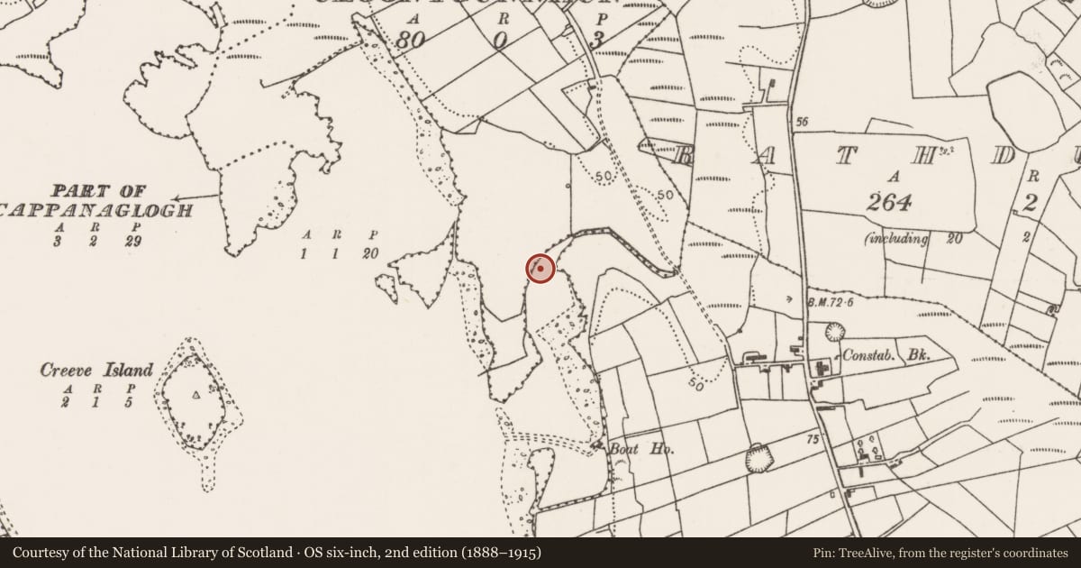 Ordnance Survey six-inch map, 2nd edition (1888–1915) covering the location of Burial, Lough Conn, County Mayo, with a pin at the register's coordinates
