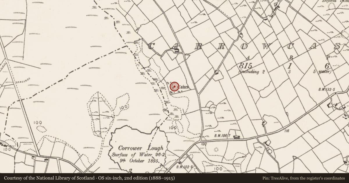 Ordnance Survey six-inch map, 2nd edition (1888–1915) covering the location of Ringfort - rath, Carrowcastle (Gallen By., Kilgarvan Par.), County Mayo, with a pin at the register's coordinates