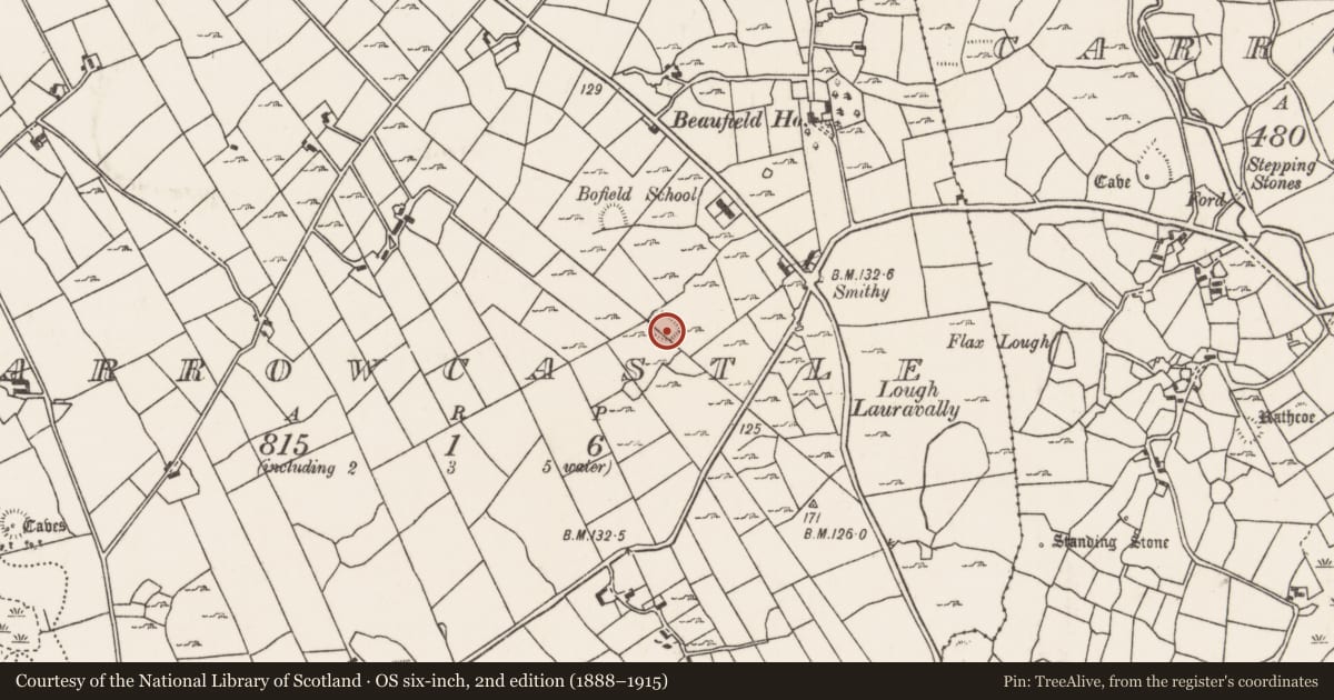 Ordnance Survey six-inch map, 2nd edition (1888–1915) covering the location of Enclosure, Carrowcastle (Gallen By., Kilgarvan Par.), County Mayo, with a pin at the register's coordinates