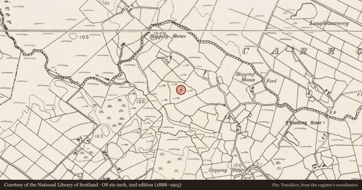Ordnance Survey six-inch map, 2nd edition (1888–1915) covering the location of Ringfort - rath, Carrowcrom, County Mayo, with a pin at the register's coordinates