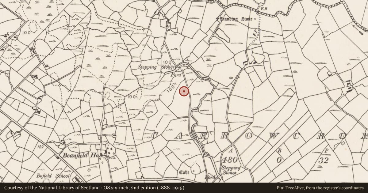 Ordnance Survey six-inch map, 2nd edition (1888–1915) covering the location of Ringfort - rath, Carrowcrom, County Mayo, with a pin at the register's coordinates